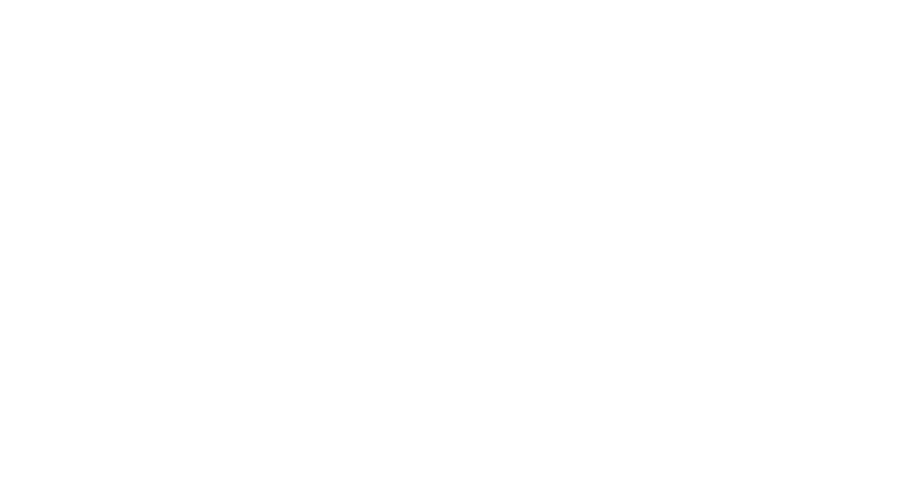 Die Perücke by Sigrid Meyer-Seeger